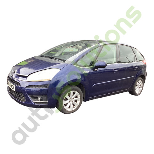 CITROEN C4 Picasso UD (MKI) Interior Light Panel